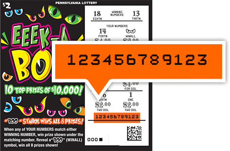 This ticket image shows where the Entry Number can be found.